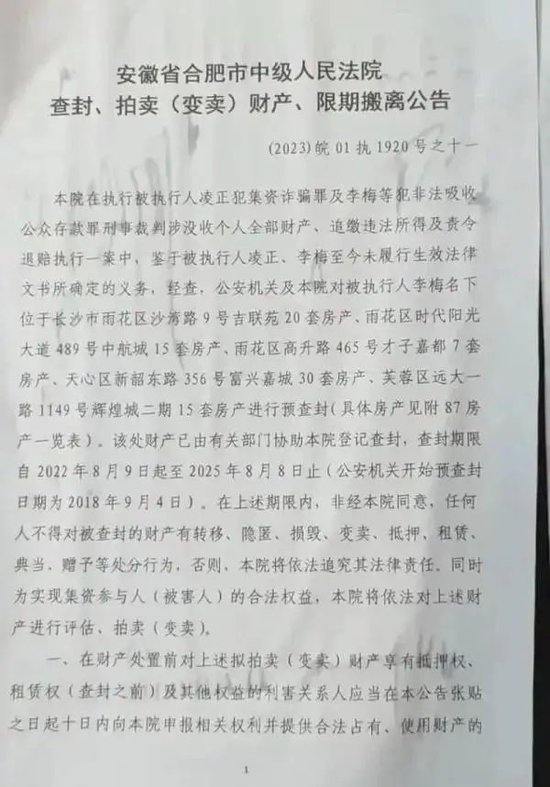 合肥女子在長(zhǎng)沙坐擁87套房，因涉罪被查封，即將被法院拍賣！  第4張