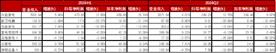 家電行業(yè)收入與凈利潤(rùn)穩(wěn)步增長(zhǎng)，白色家電最為穩(wěn)健——家用電器行業(yè)2024H1業(yè)績(jī)點(diǎn)評(píng)  第10張