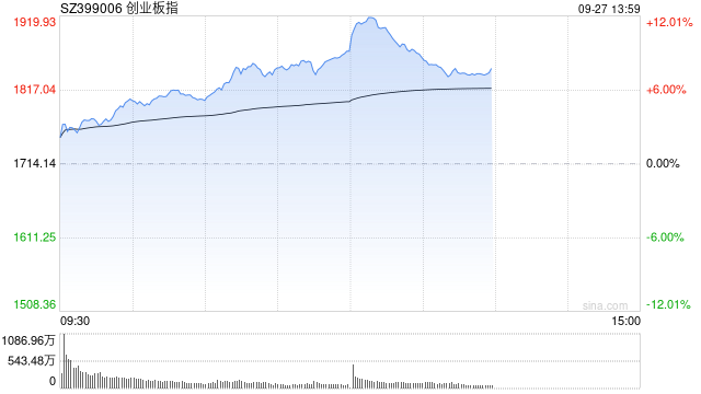 新記錄！創(chuàng)業(yè)板指漲超10%  第1張