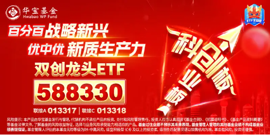 主力資金大舉加碼權(quán)重板塊，雙創(chuàng)龍頭ETF（588330）封死漲停板，標(biāo)的指數(shù)近9成成份股漲超10%！  第5張